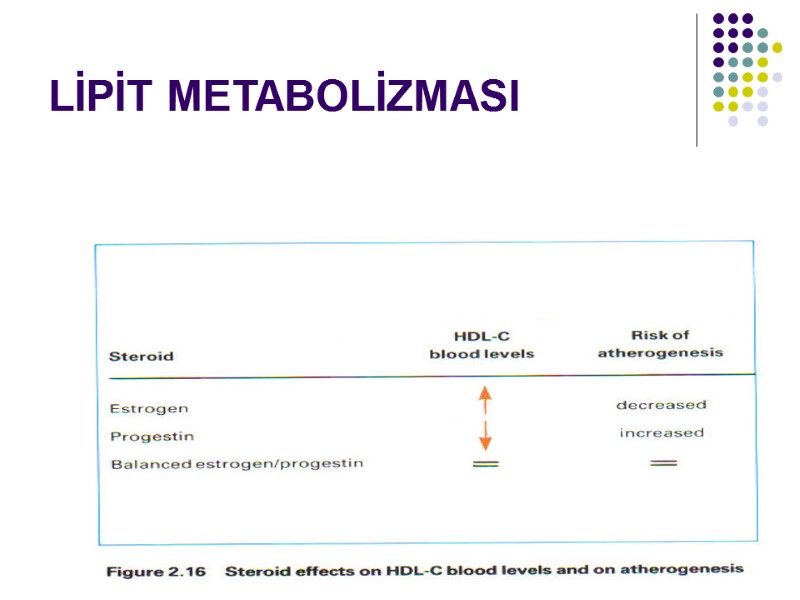 AÖ 32 LİPİT METABOLİZMASI